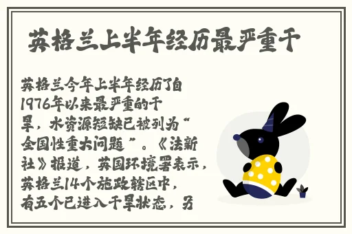 唯美app下载安卓版